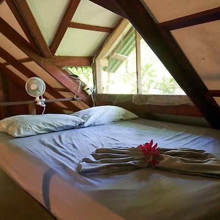 Luz En El Cielo Eco-B&B/Hostel 몬테주마 외부 사진