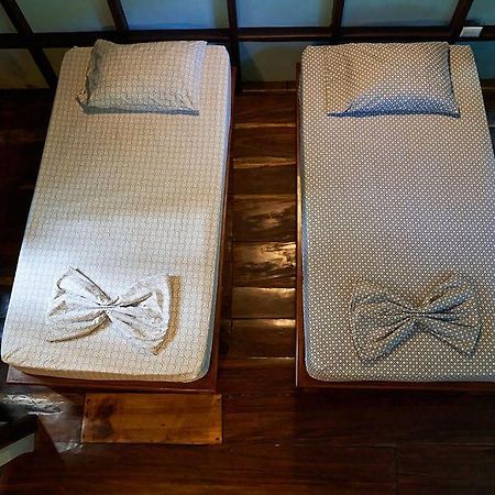 Luz En El Cielo Eco-B&B/Hostel 몬테주마 외부 사진
