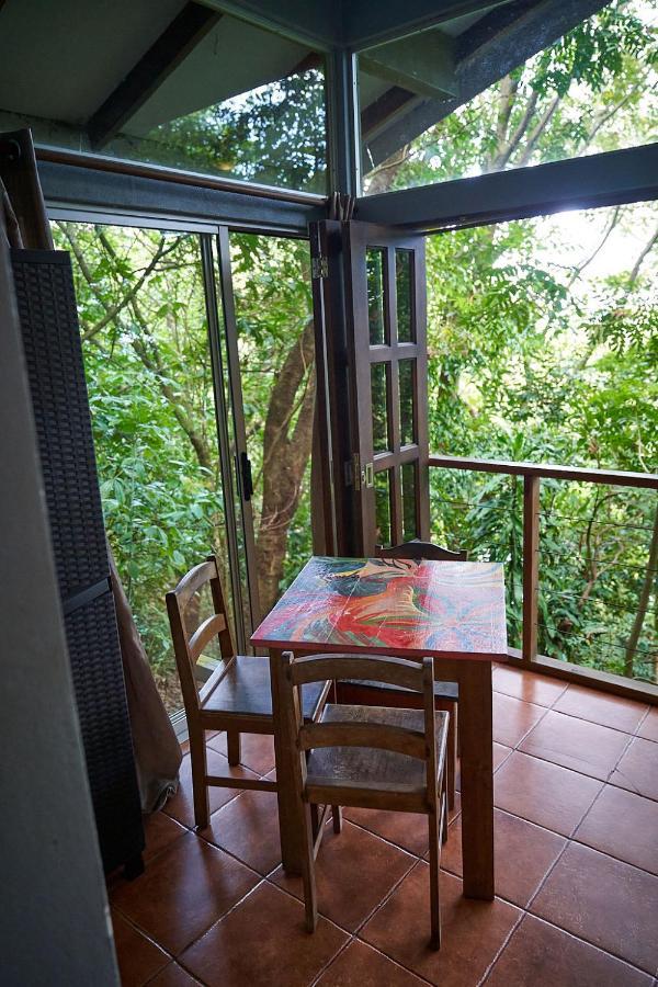 Luz En El Cielo Eco-B&B/Hostel 몬테주마 외부 사진