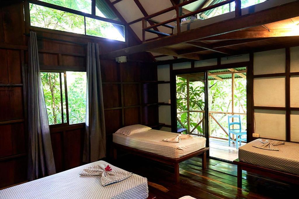 Luz En El Cielo Eco-B&B/Hostel 몬테주마 외부 사진