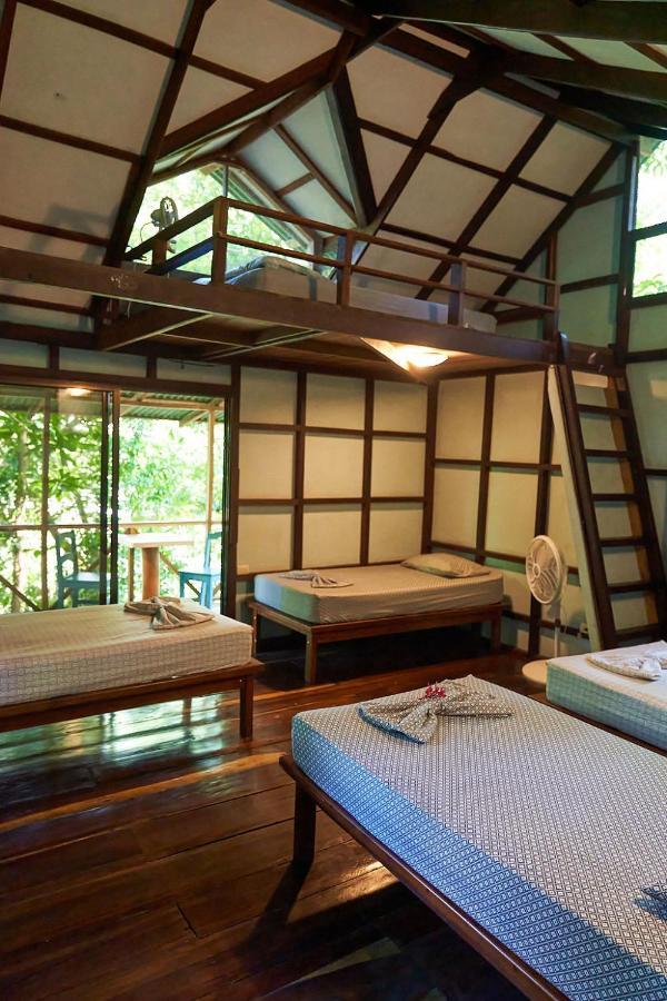 Luz En El Cielo Eco-B&B/Hostel 몬테주마 외부 사진