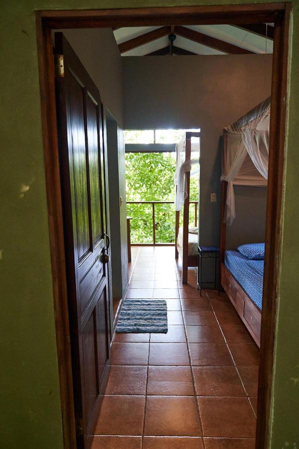 Luz En El Cielo Eco-B&B/Hostel 몬테주마 외부 사진