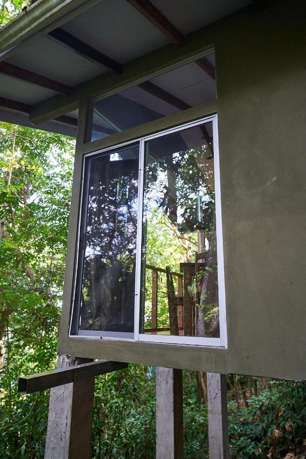Luz En El Cielo Eco-B&B/Hostel 몬테주마 외부 사진