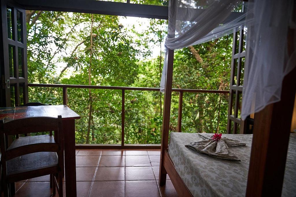 Luz En El Cielo Eco-B&B/Hostel 몬테주마 외부 사진