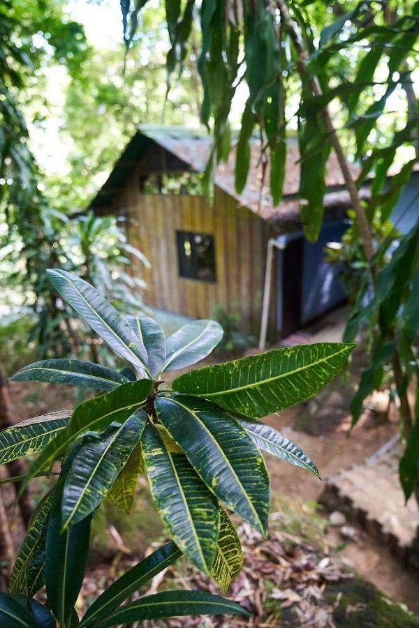 Luz En El Cielo Eco-B&B/Hostel 몬테주마 외부 사진