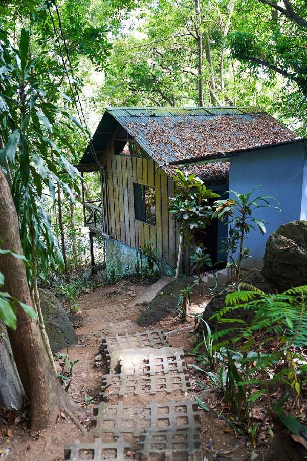 Luz En El Cielo Eco-B&B/Hostel 몬테주마 외부 사진