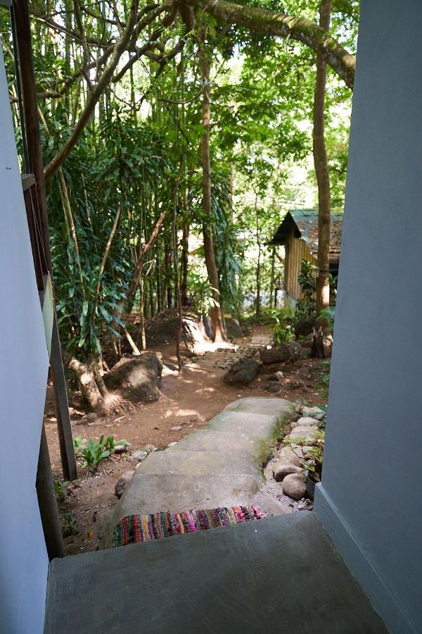 Luz En El Cielo Eco-B&B/Hostel 몬테주마 외부 사진