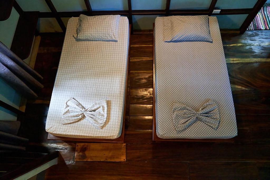 Luz En El Cielo Eco-B&B/Hostel 몬테주마 외부 사진