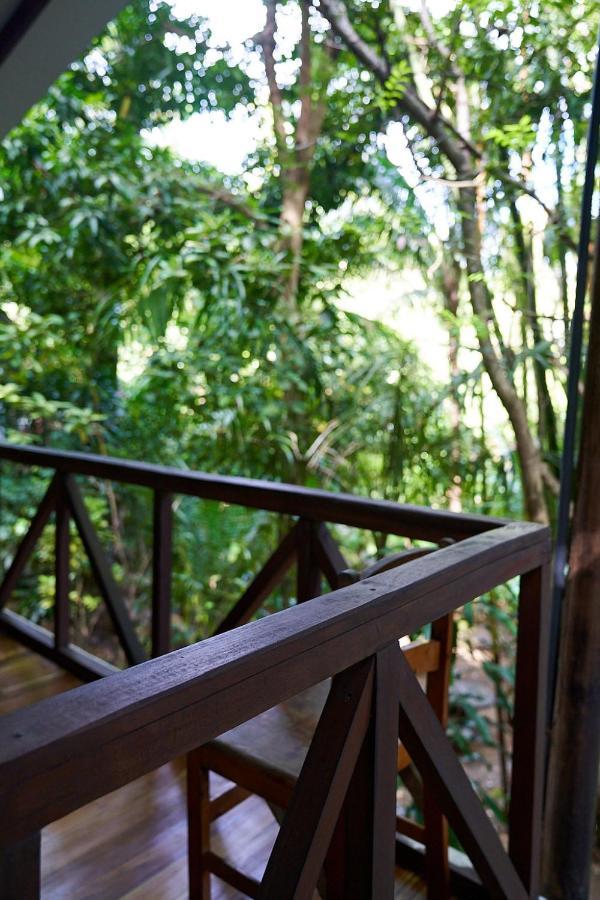 Luz En El Cielo Eco-B&B/Hostel 몬테주마 외부 사진