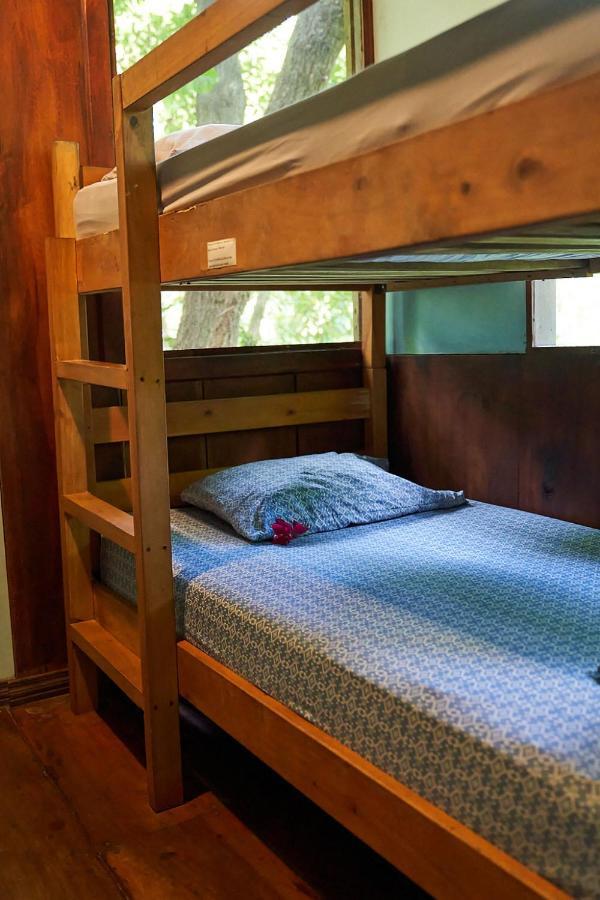 Luz En El Cielo Eco-B&B/Hostel 몬테주마 외부 사진