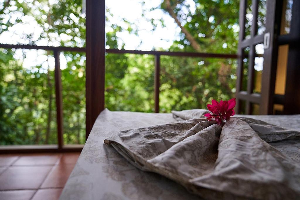 Luz En El Cielo Eco-B&B/Hostel 몬테주마 외부 사진