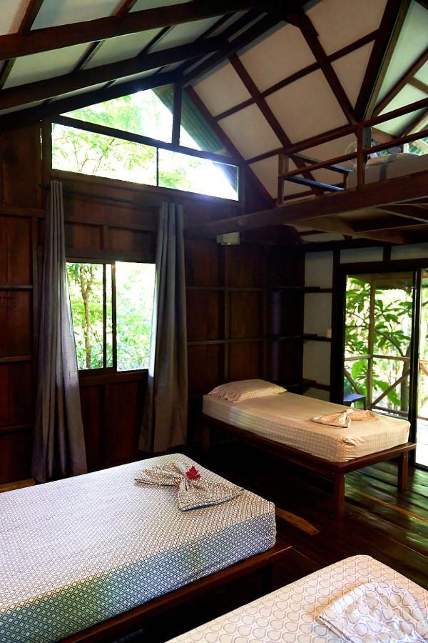 Luz En El Cielo Eco-B&B/Hostel 몬테주마 외부 사진