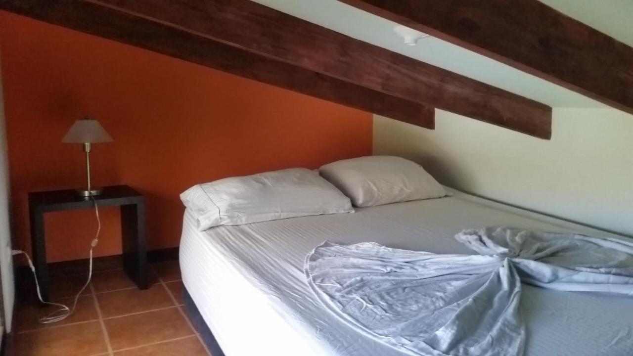 Luz En El Cielo Eco-B&B/Hostel 몬테주마 외부 사진