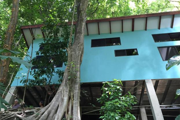 Luz En El Cielo Eco-B&B/Hostel 몬테주마 객실 사진