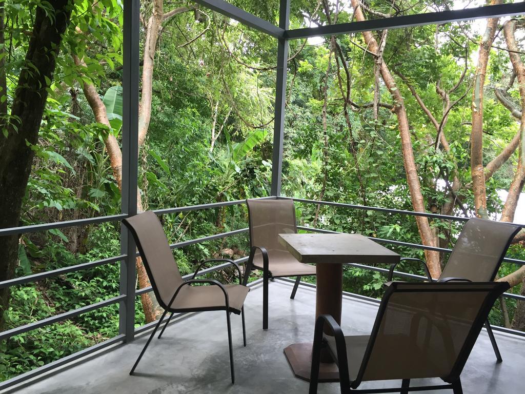 Luz En El Cielo Eco-B&B/Hostel 몬테주마 객실 사진