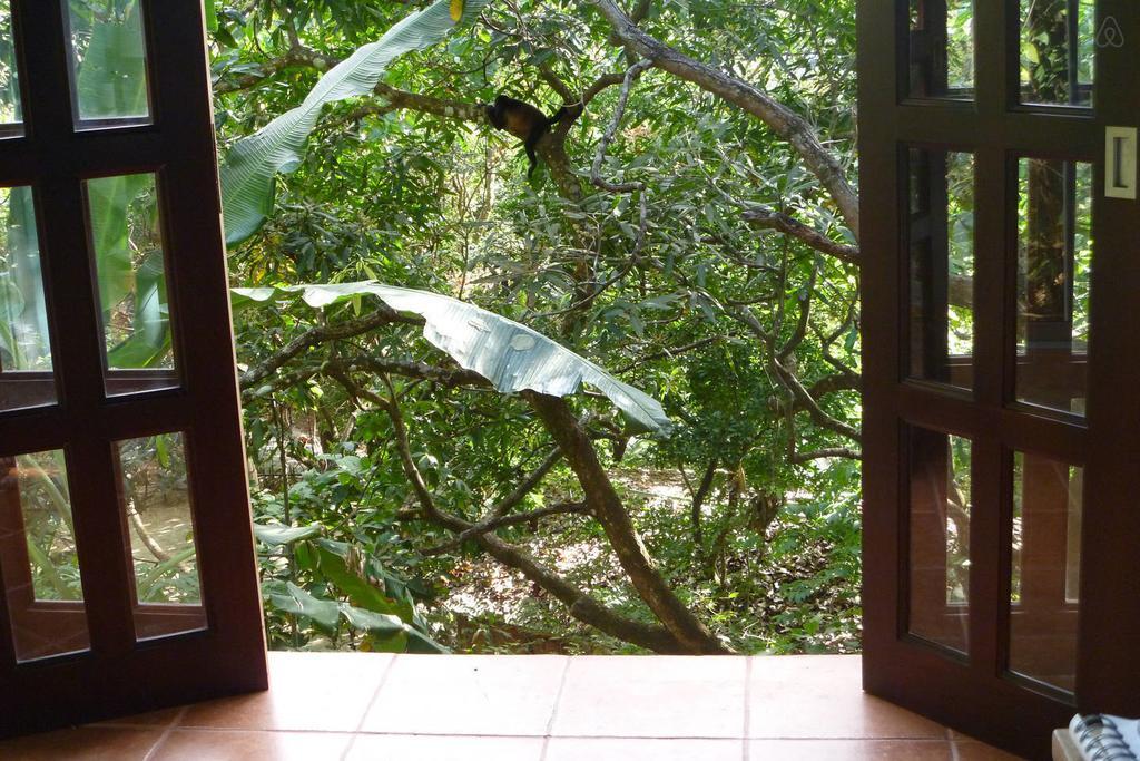 Luz En El Cielo Eco-B&B/Hostel 몬테주마 객실 사진