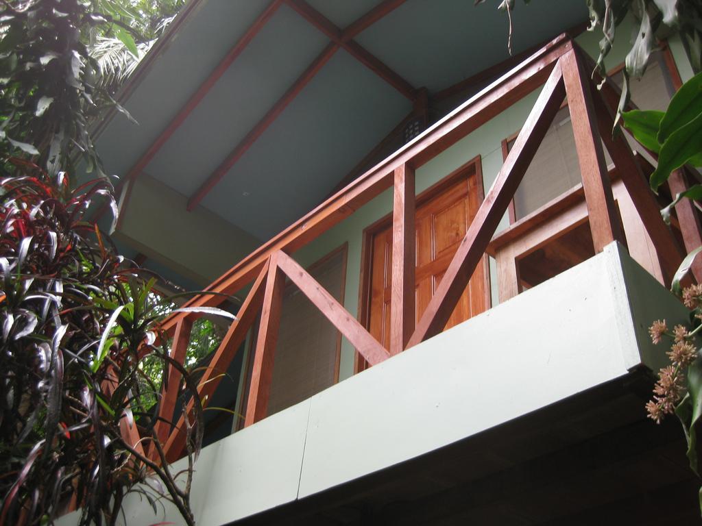 Luz En El Cielo Eco-B&B/Hostel 몬테주마 객실 사진