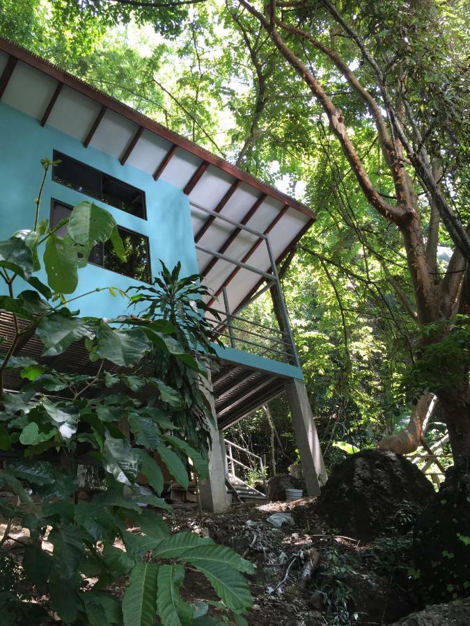 Luz En El Cielo Eco-B&B/Hostel 몬테주마 외부 사진